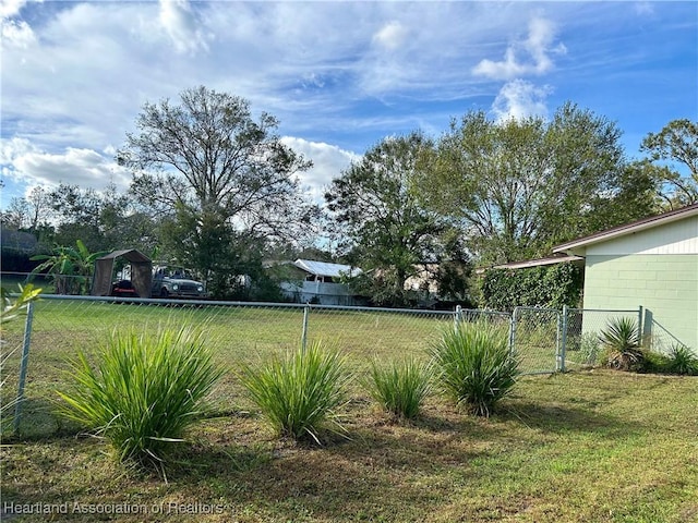 view of yard