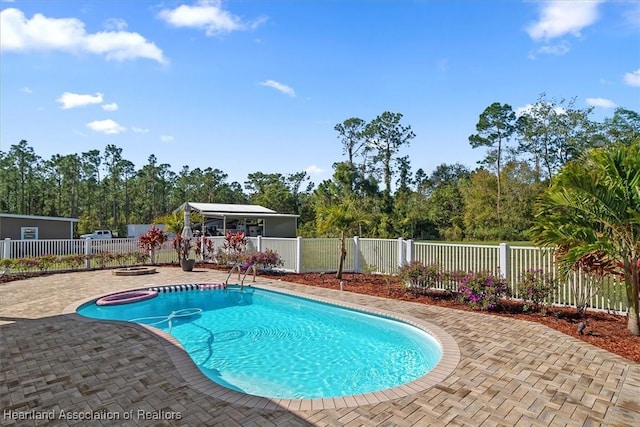 view of pool with a patio