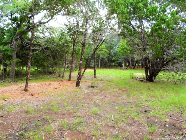 Listing photo 3 for LOT69 Tracie Trl, Lakehills TX 78063