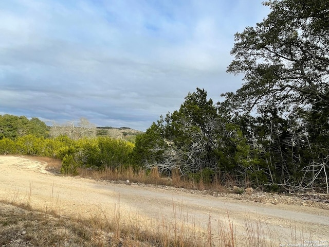 Listing photo 2 for 1490 Red Rock Rd, Blanco TX 78606