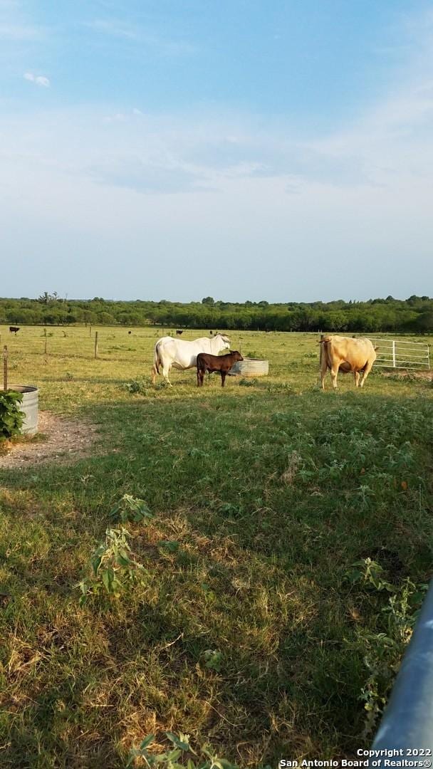 Listing photo 3 for 13857 US Highway 87 S, Adkins TX 78101