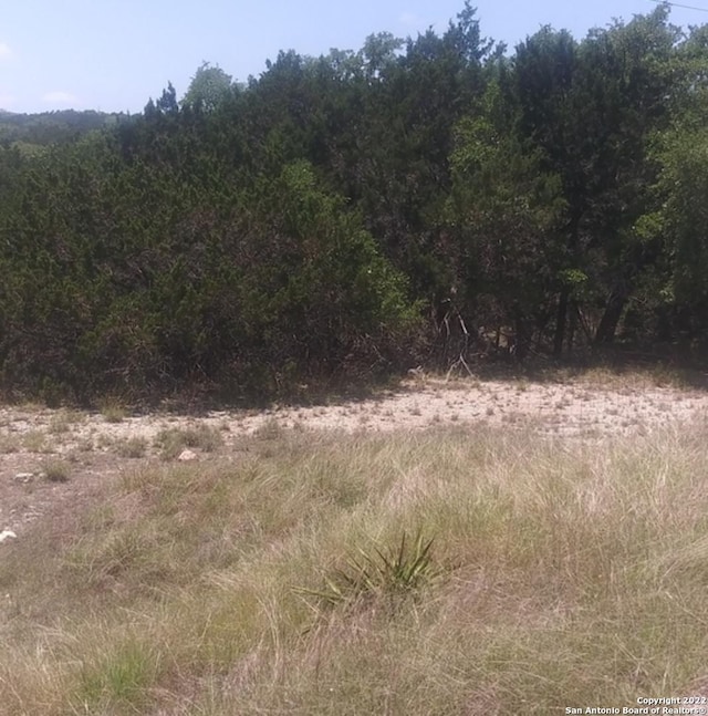 Listing photo 4 for 412 Flanders, Fischer TX 78623