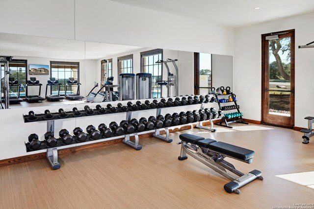 workout area featuring light hardwood / wood-style flooring