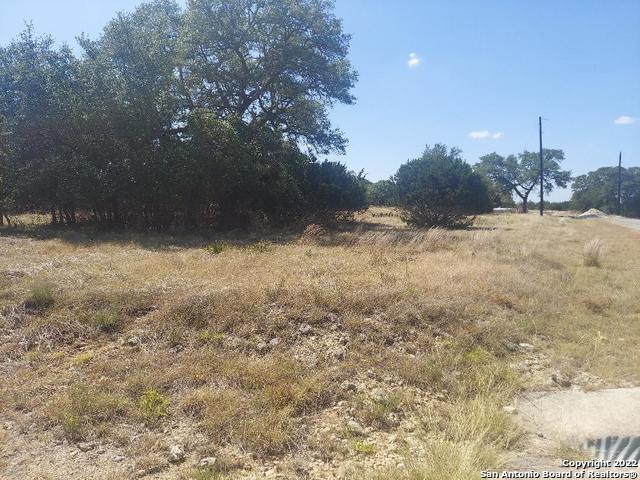 Listing photo 3 for LOT448 Williams Wood, Blanco TX 78606