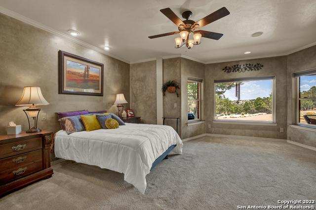 bedroom featuring carpet, ceiling fan, and crown molding