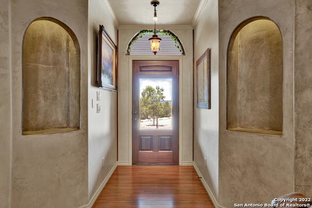 doorway to outside featuring ornamental molding and dark hardwood / wood-style flooring