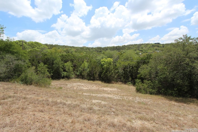 Listing photo 2 for 19057 State Highway 16 N, Helotes TX 78023