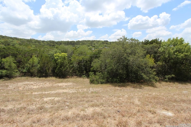 Listing photo 3 for 19057 State Highway 16 N, Helotes TX 78023