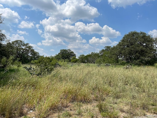 771 County Road 660, Devine TX, 78016 land for sale