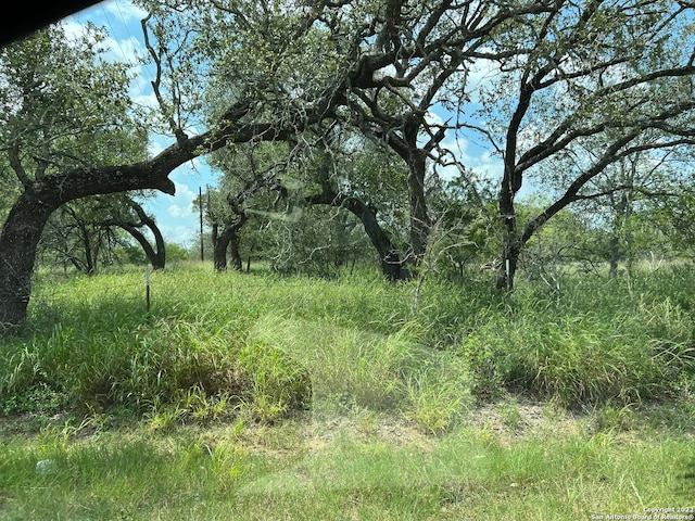 Listing photo 3 for 771 County Road 660, Devine TX 78016