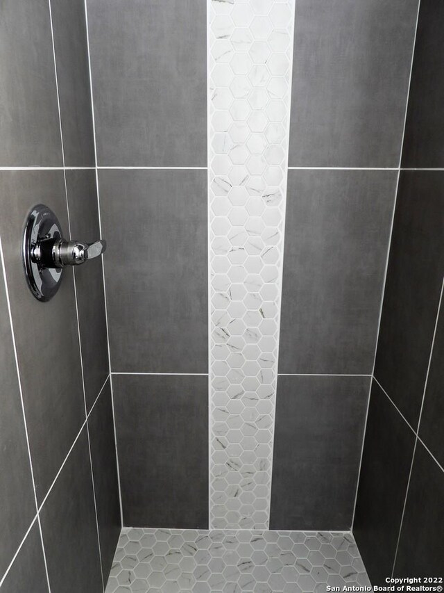 room details with tiled shower