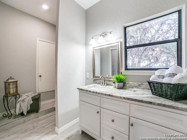 bathroom with hardwood / wood-style floors and vanity