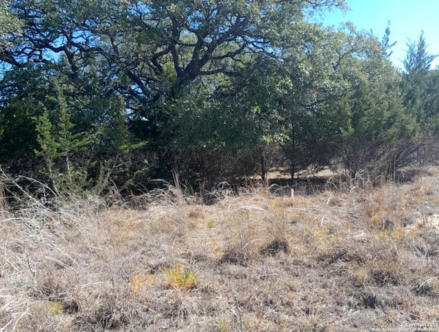 232 Hiram Cook, Blanco TX, 78606 land for sale