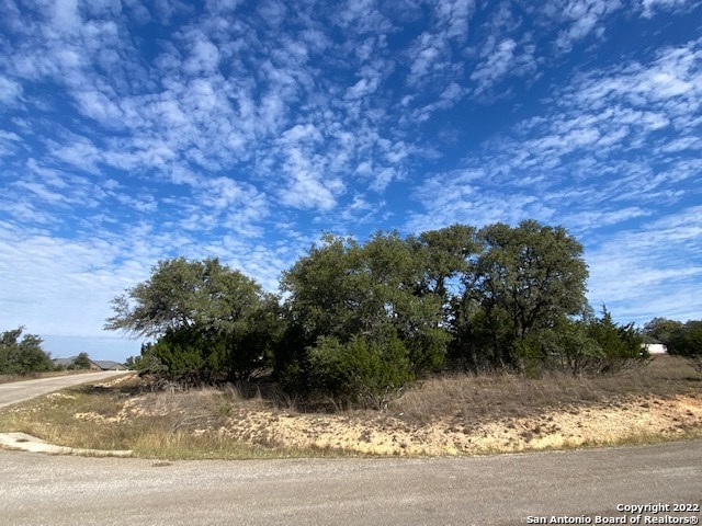 Listing photo 2 for 0 John Price, Blanco TX 78133