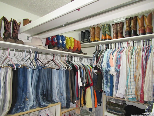 view of spacious closet