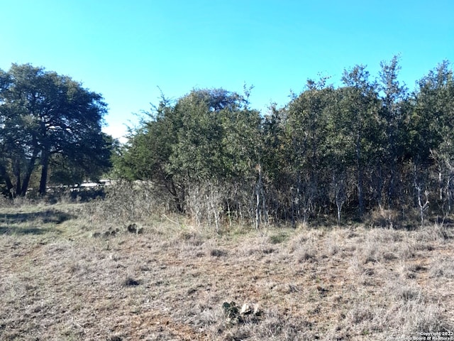 125 Antonio Perez, Blanco TX, 78606 land for sale