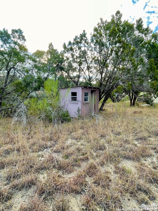 view of yard with a storage shed