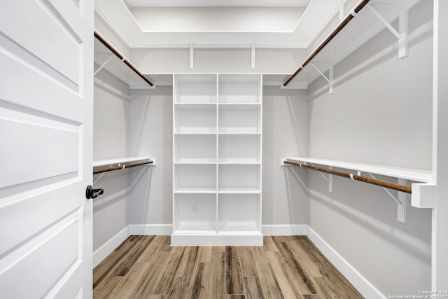 walk in closet featuring hardwood / wood-style floors