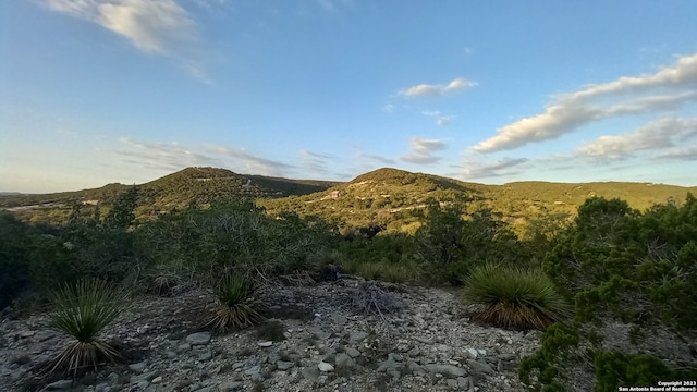 LOT90 Bear Springs Rd, Pipe Creek TX, 78063 land for sale