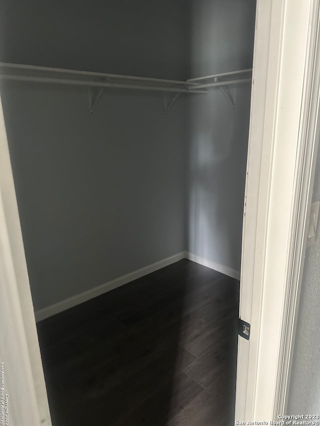 walk in closet with dark hardwood / wood-style flooring