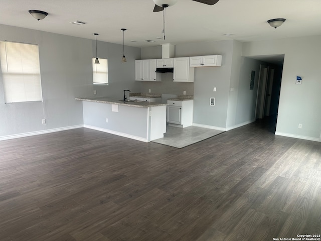 kitchen with plenty of natural light, hanging light fixtures, ceiling fan, and dark hardwood / wood-style flooring