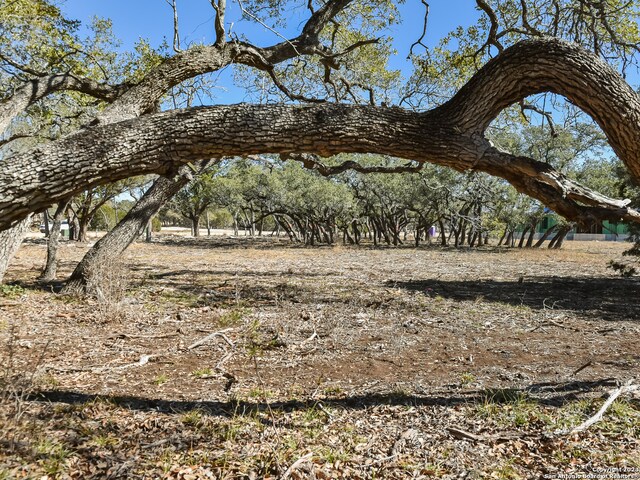 Listing photo 2 for 34760 Carries Creek Dr, Bulverde TX 78163