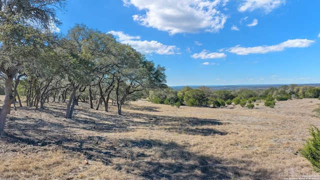 34713 Mayer Oaks, Bulverde, TX 78163