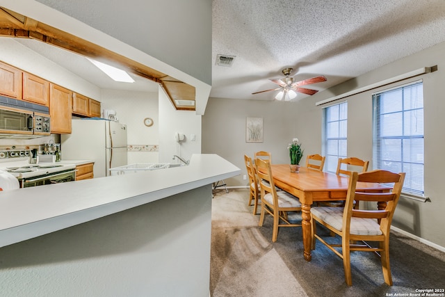 dining space with carpet floors, ceiling fan, a textured ceiling, a skylight, and sink