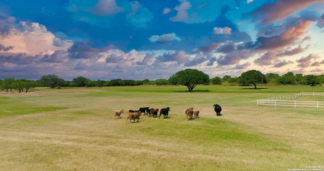 view of yard with a rural view