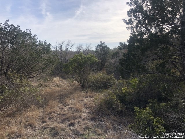 Listing photo 2 for CR242 County Road 242, Hondo TX 78861