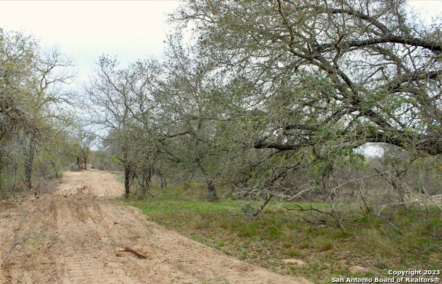 2725 County Road 770, Natalia TX, 78059 land for sale