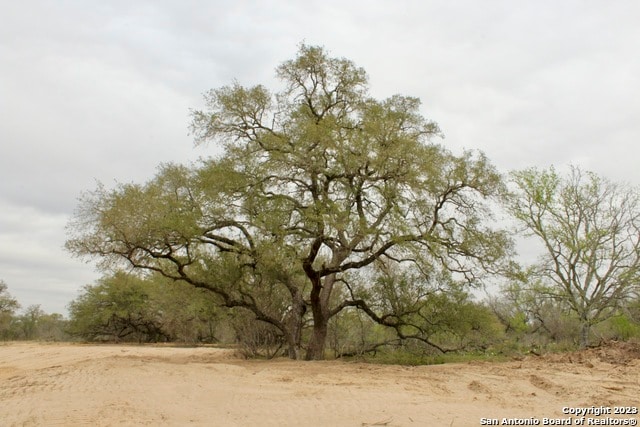 Listing photo 3 for 2725 County Road 770, Natalia TX 78059