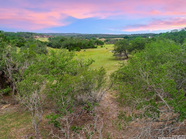 660 Travis Frst, San Antonio TX, 78163 land for sale