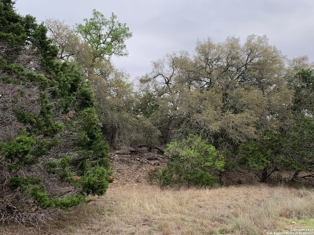 153 Sage Oaks Trl, Boerne TX, 78006 land for sale