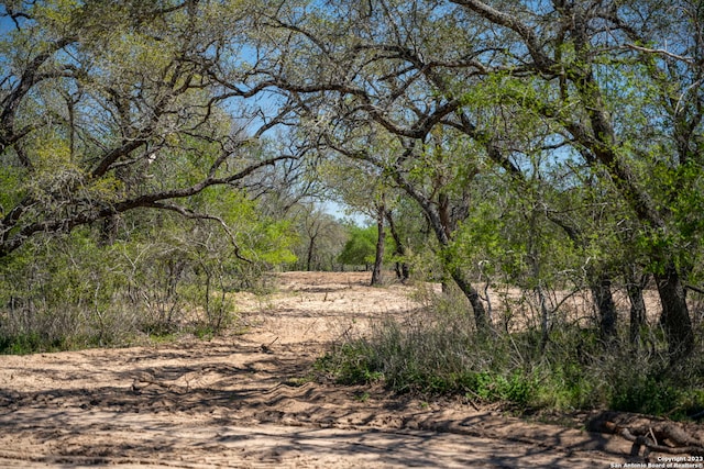 Listing photo 2 for 2703 County Road 770, Natalia TX 78059