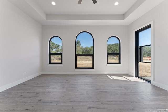 empty room featuring a tray ceiling, light hardwood / wood-style floors, and a healthy amount of sunlight