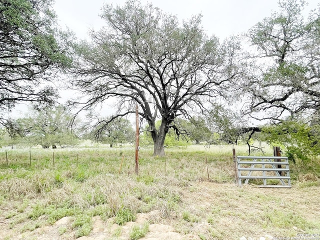 view of yard with a rural view