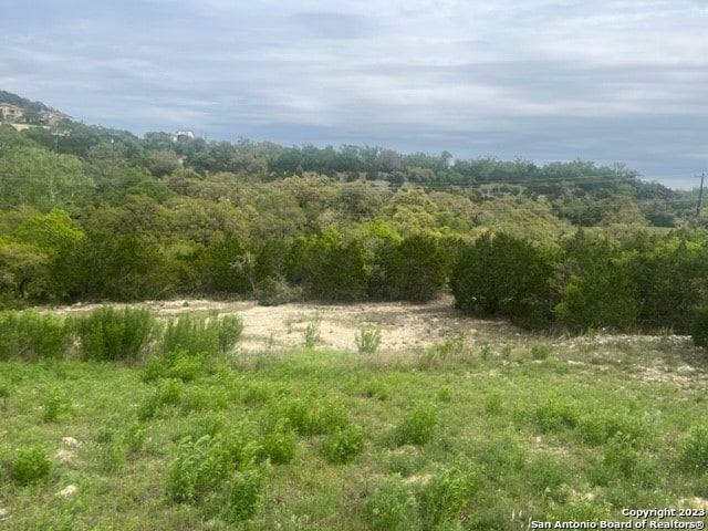 Listing photo 2 for 10006 Ivory Cyn, San Antonio TX 78255