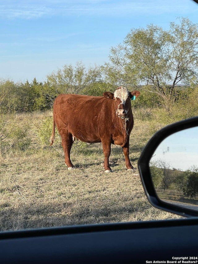 19 Private Road 642, Hamilton, TX 76531