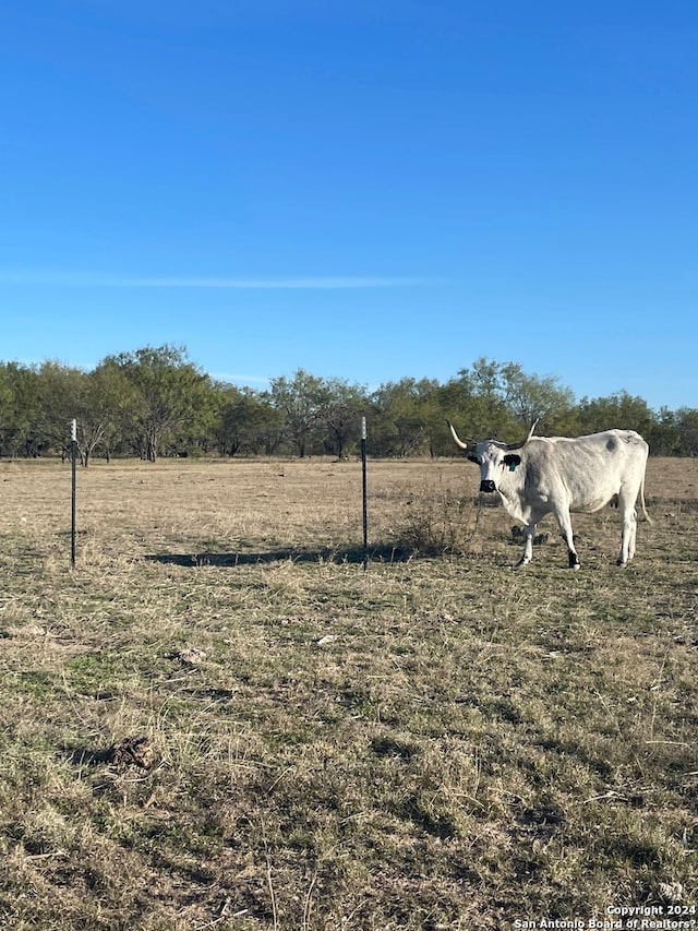 19 Private Road 642, Hamilton, TX 76531