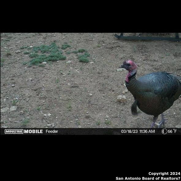 19 Private Road 642, Hamilton, TX 76531