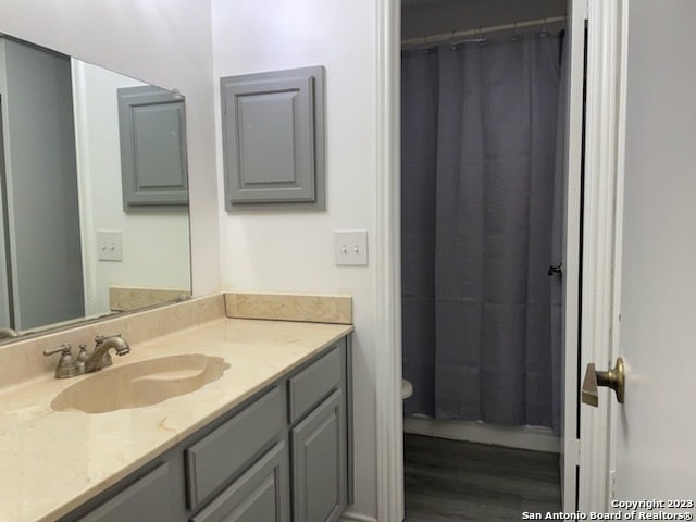 bathroom with toilet, large vanity, and wood-type flooring