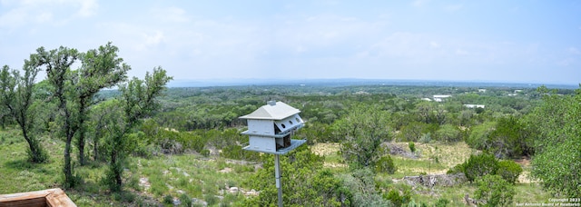 bird's eye view