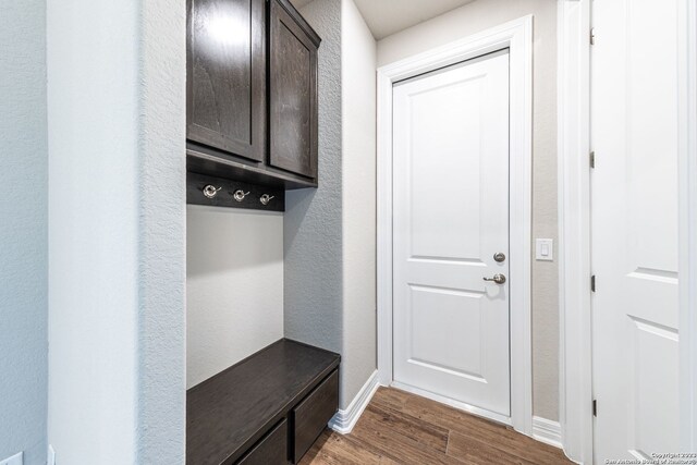 mudroom with dark wood-type flooring