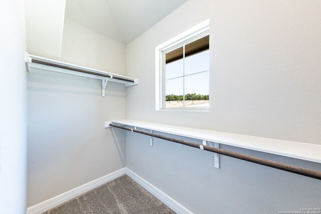 walk in closet featuring carpet floors