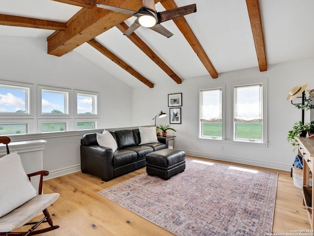 living room featuring ceiling fan, vaulted ceiling with beams, plenty of natural light, and light hardwood / wood-style floors