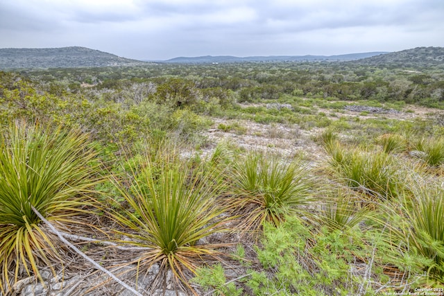 00 Brushy Creek Ranch Rd, Sabinal TX, 78881 land for sale