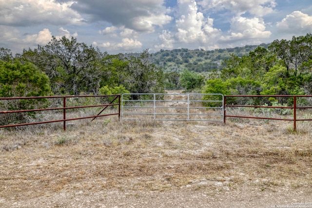 Listing photo 3 for 00 Brushy Creek Ranch Rd, Sabinal TX 78881