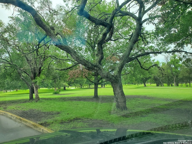 view of nearby features with a yard