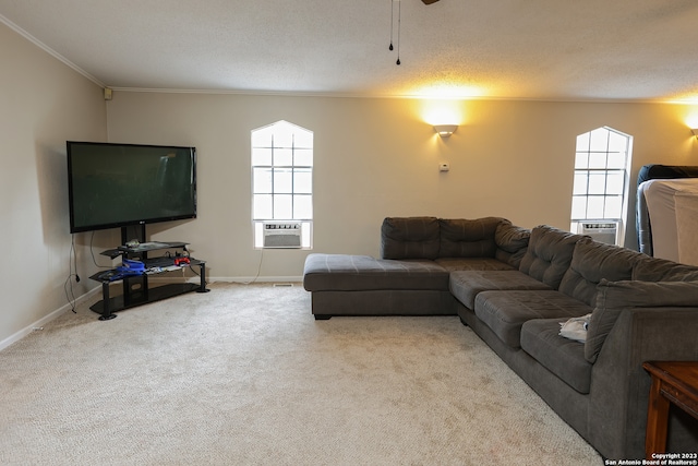 living room with crown molding, a textured ceiling, and light carpet